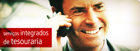 Servi�os Integrados de Tesouraria.