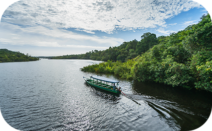 Barco navegando no rio ao lado da floresta