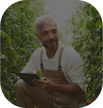 Homem de cabelo branco e macacão marrom agachado em uma plantação e segurando um tablet enquanto olha para as plantas.