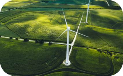 Um campo com muito mato e alguns geradores de energias eólicas.